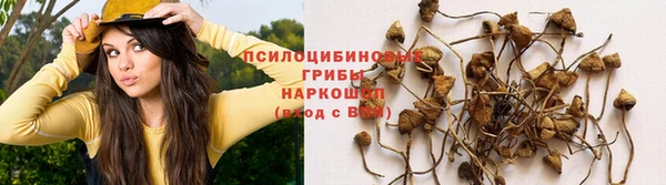 a pvp Покровск