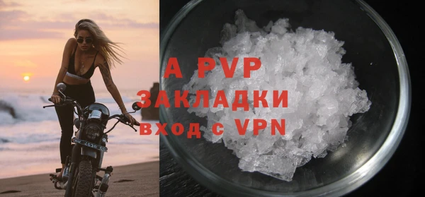 СК Покачи