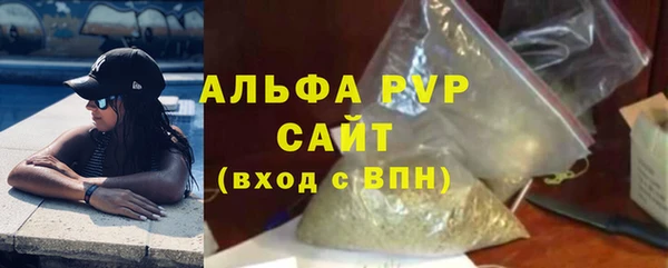 СК Покачи