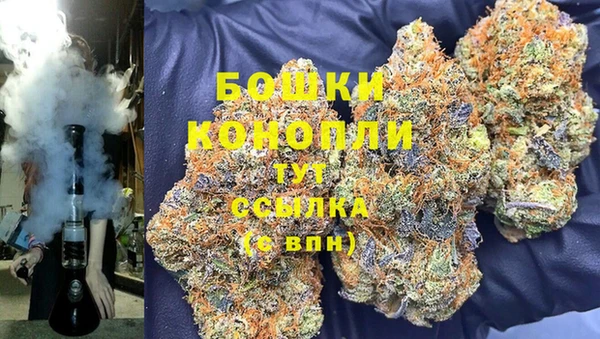 СК Покачи