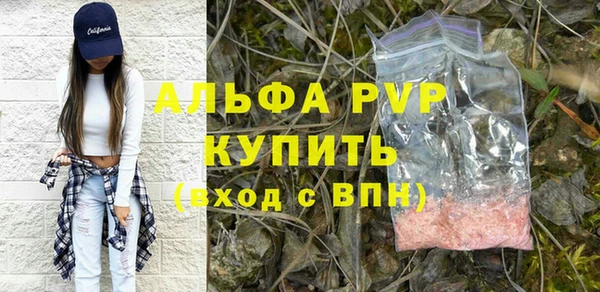 СК Покачи