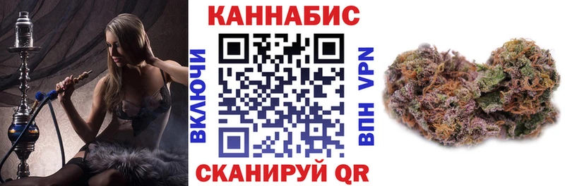 гидра ТОР  Ужур  Бошки Шишки тримм 